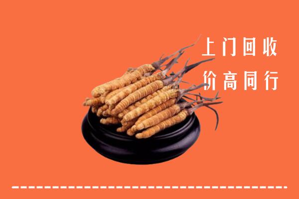 高价求购：福安市回收散虫草