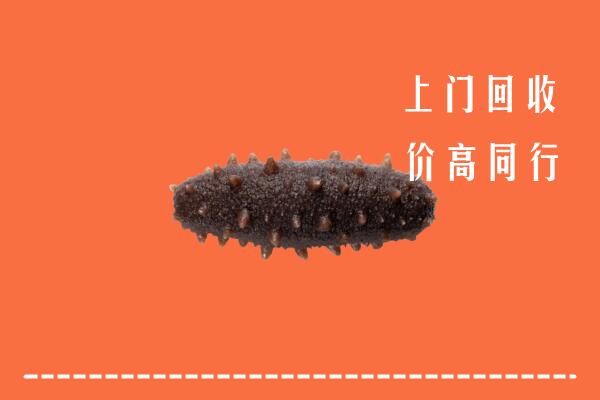 高价求购：福安市回收海参