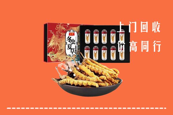 福安市回收虫草